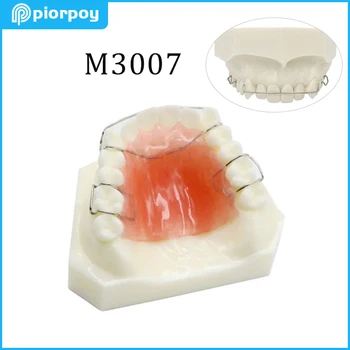 Обучающая модель для стоматологии, Съемный Фиксатор для ортодонтического лечения верхней челюсти, Изучение формы зуба, Стоматологические инструменты M3007